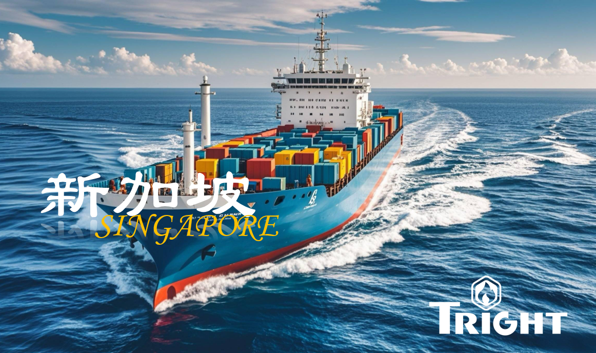 钛汭Tright 出海纪实之——新加坡篇(图4)